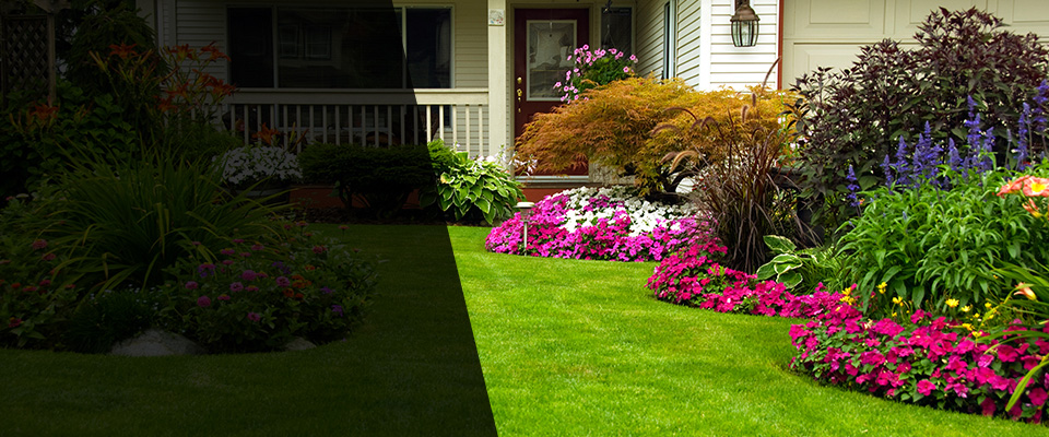 Kaplan Landscapers