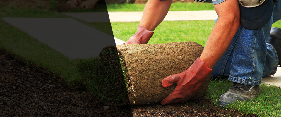 Kaplan Landscapers